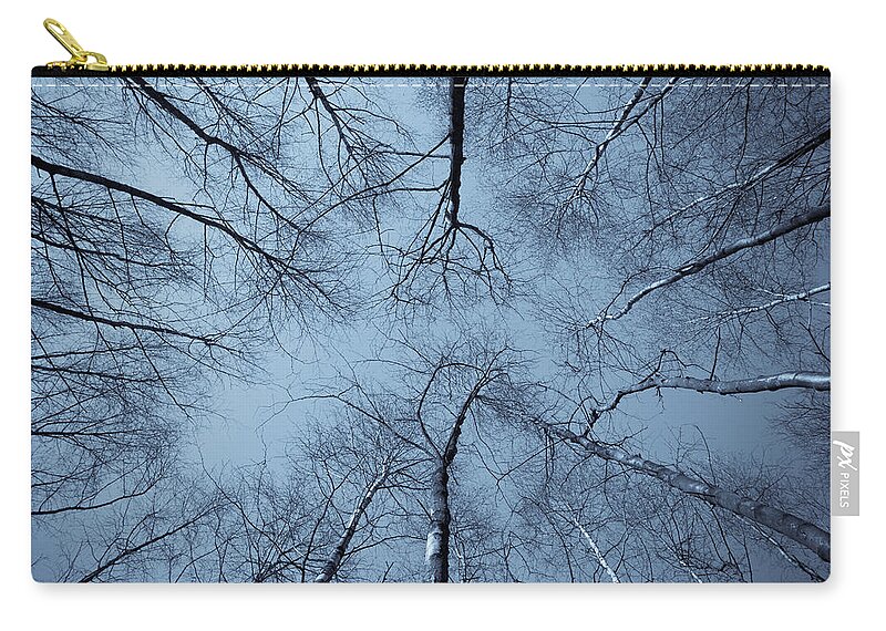 Tree Zip Pouch featuring the photograph Trees in Epping Forest #4 by David Pyatt