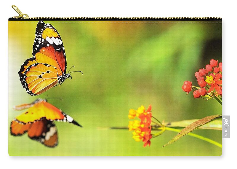 Butterfly Zip Pouch featuring the photograph Butterfly #40 by Jackie Russo