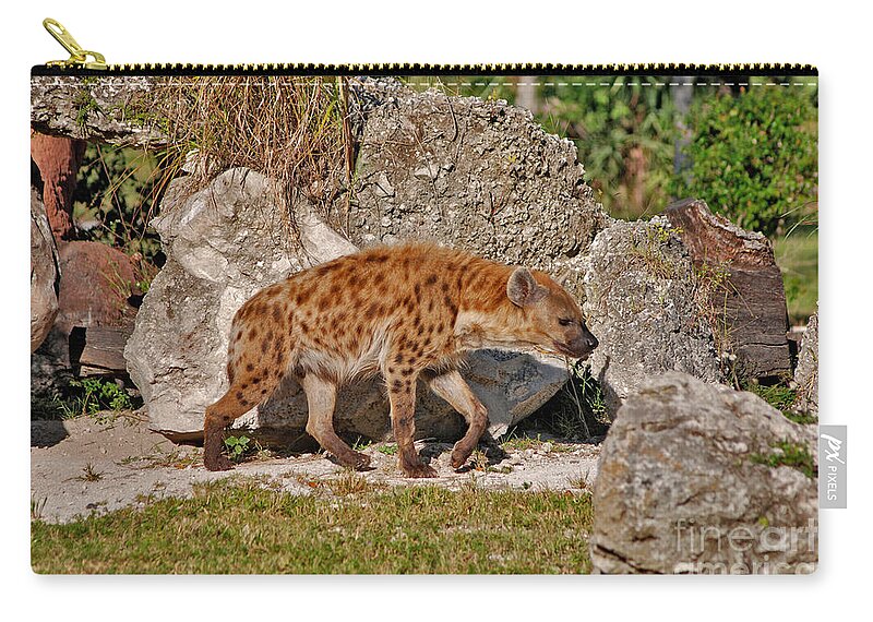 Spotted Hyena Zip Pouch featuring the photograph 47- Spotted Hyena by Joseph Keane