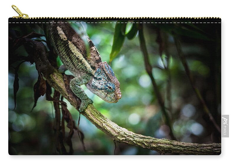 Chameleon Zip Pouch featuring the digital art Chameleon #5 by Super Lovely