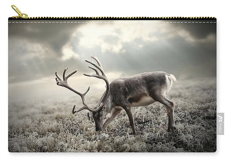 Deer Zip Pouch featuring the photograph Deer #5 by Jackie Russo