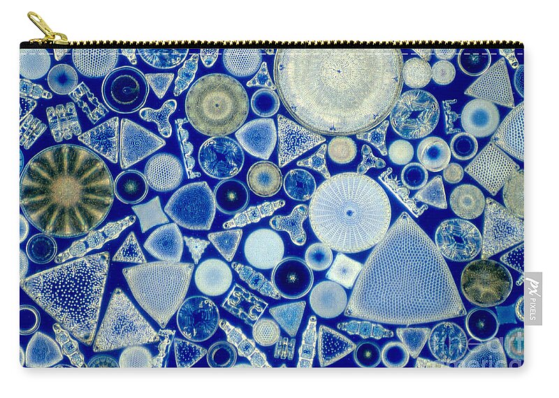 Diatom Carry-all Pouch featuring the photograph Diatoms by M. I. Walker