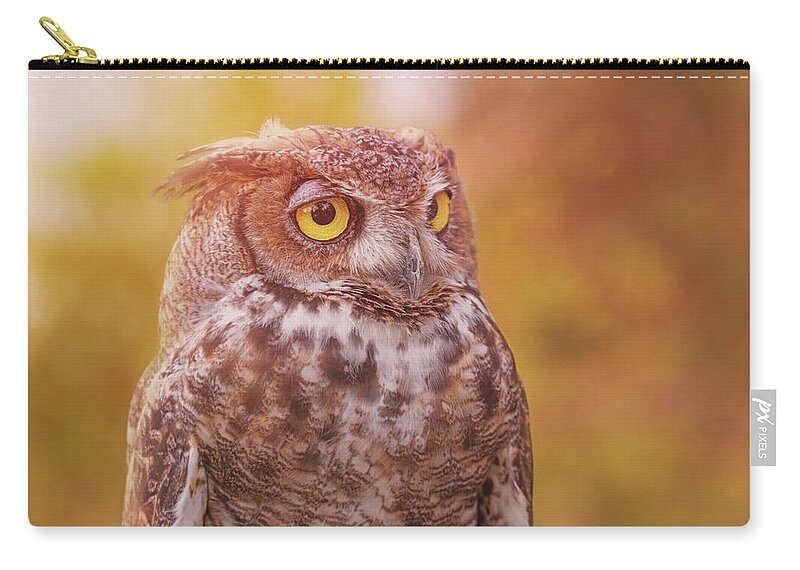 Animal Zip Pouch featuring the photograph Great Horned Owl #5 by Brian Cross