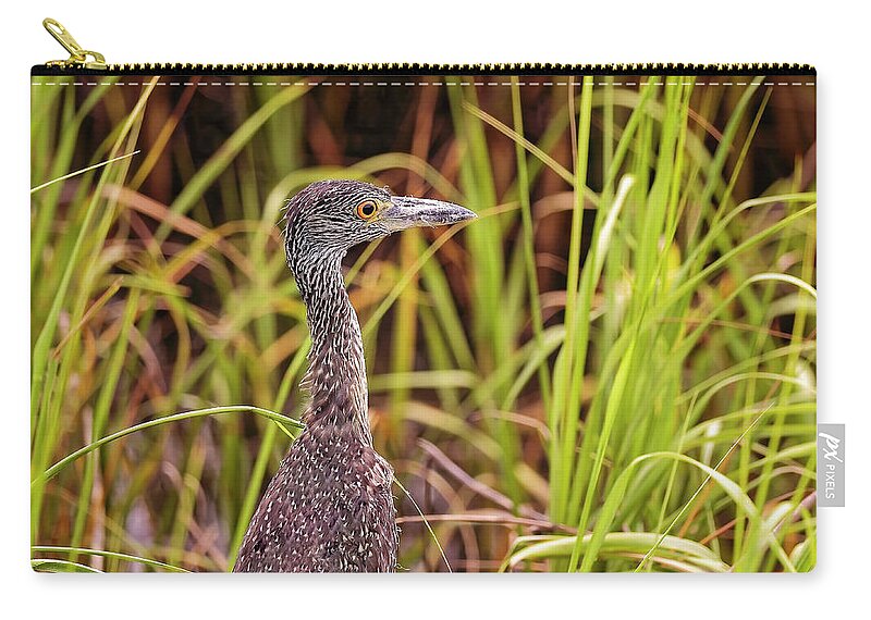Animal Zip Pouch featuring the photograph Green Heron #5 by Peter Lakomy