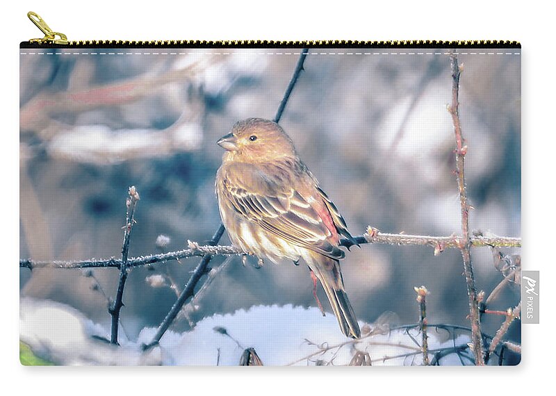 Tree Zip Pouch featuring the photograph House Finch Tiny Bird Perched On A Tree #5 by Alex Grichenko