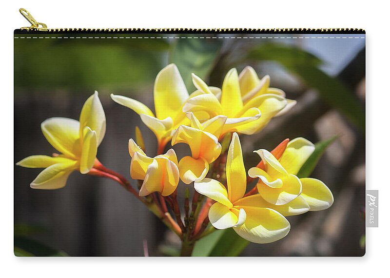 Flower Zip Pouch featuring the photograph Plumeria Frangipani Hawaiian Flower #5 by Rich Franco