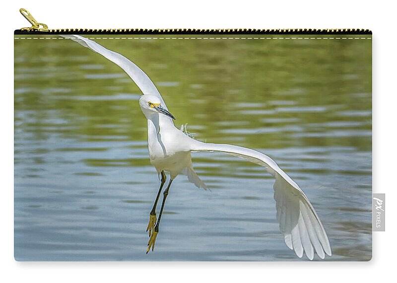 Snowy Zip Pouch featuring the photograph Snowy Egret Flight #5 by Tam Ryan