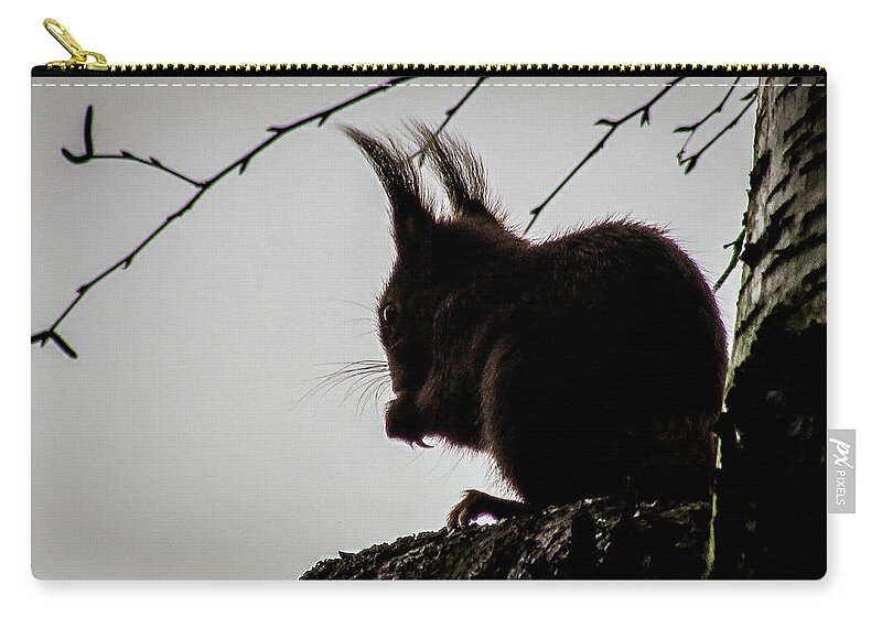 Bird Zip Pouch featuring the photograph Squirrel #5 by Cesar Vieira
