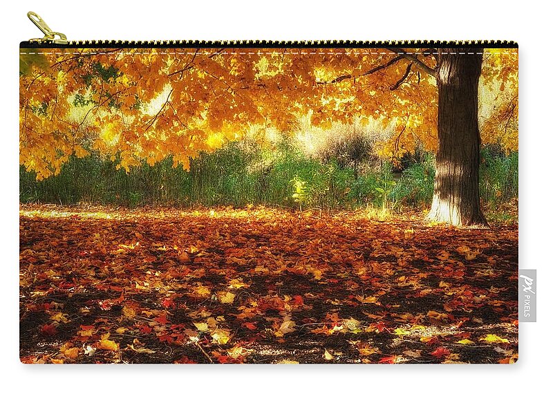 Tree Zip Pouch featuring the photograph Tree #5 by Jackie Russo