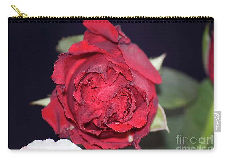 Flowers Zip Pouch featuring the photograph Red Rose #50 by Elvira Ladocki