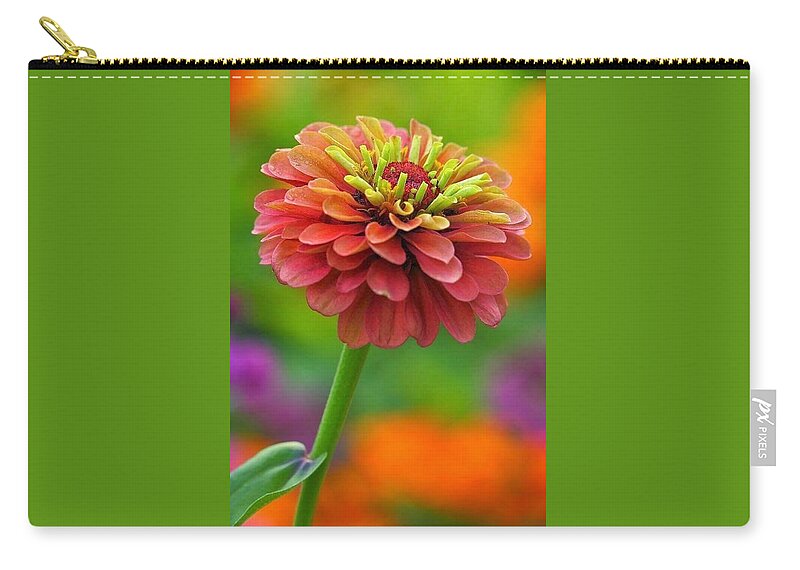 Flower Carry-all Pouch featuring the photograph 50 Shades of Beautiful by Carolyn Mickulas