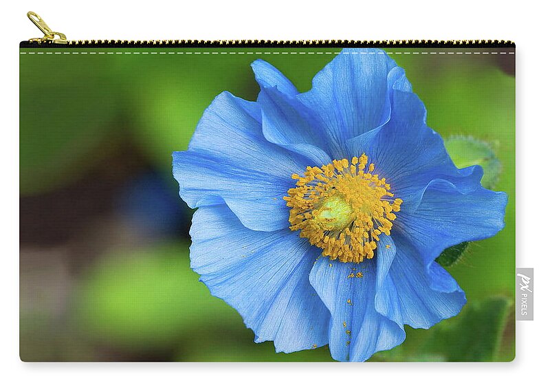 Flower Zip Pouch featuring the photograph Flower #56 by Jackie Russo