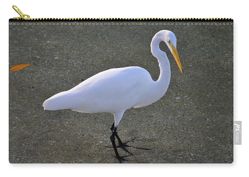 Great Egret Zip Pouch featuring the photograph 59- Great Egret by Joseph Keane