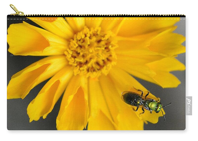 Bee Zip Pouch featuring the photograph 5pm Sweat Bee by Dani McEvoy