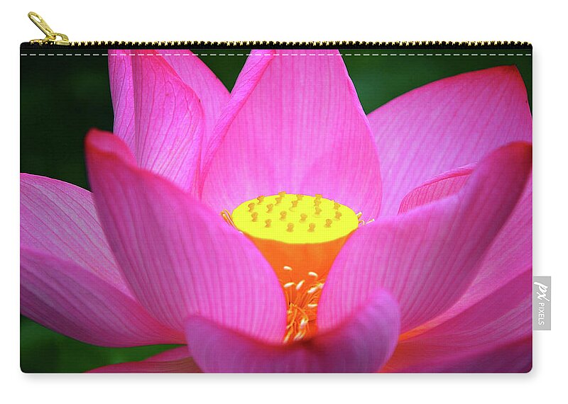 Lotus Zip Pouch featuring the photograph Blossoming lotus flower closeup #6 by Carl Ning
