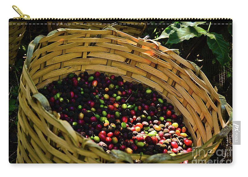 Bean Zip Pouch featuring the photograph Coffee Culture in Sao Paulo - Brazil #6 by Carlos Alkmin