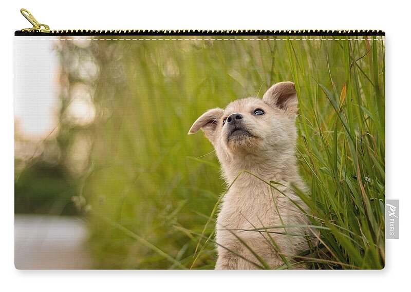 Dog Zip Pouch featuring the digital art Dog #6 by Maye Loeser