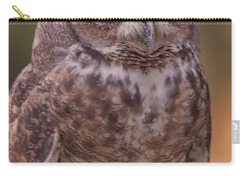 Animal Zip Pouch featuring the photograph Great Horned Owl #6 by Brian Cross