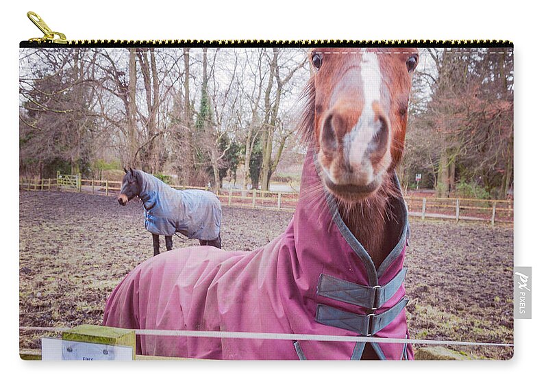 D90 Zip Pouch featuring the photograph Horse by Mariusz Talarek