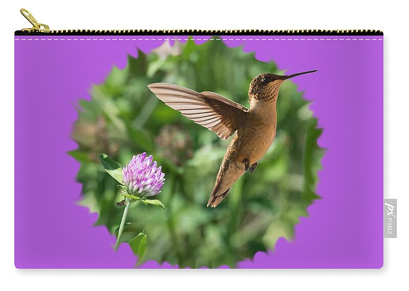 Hummingbird Carry-all Pouch featuring the photograph Hummingbird by Holden The Moment
