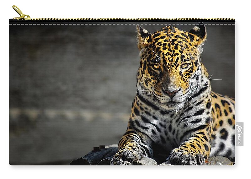 Leopard Zip Pouch featuring the digital art Leopard #6 by Super Lovely