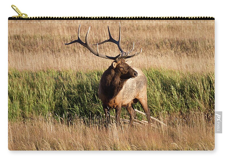 6x6 Zip Pouch featuring the photograph 6 X 6 Bull Elk by Ronald Lutz