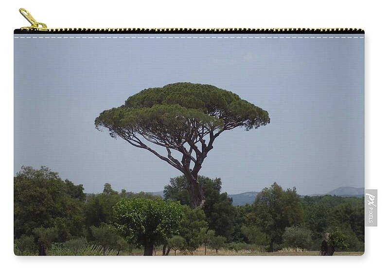 Tree Zip Pouch featuring the photograph Tree #66 by Mariel Mcmeeking