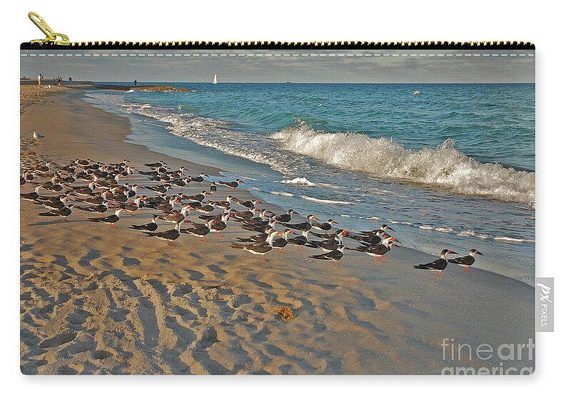 Black Skimmers Zip Pouch featuring the photograph 67- Ready For Takeoff by Joseph Keane