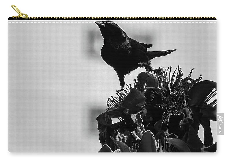 Bird Zip Pouch featuring the photograph Bird #7 by Cesar Vieira