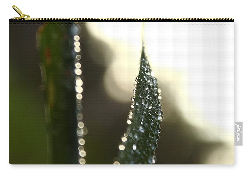 Close Up Zip Pouch featuring the photograph Close Up #7 by Jackie Russo