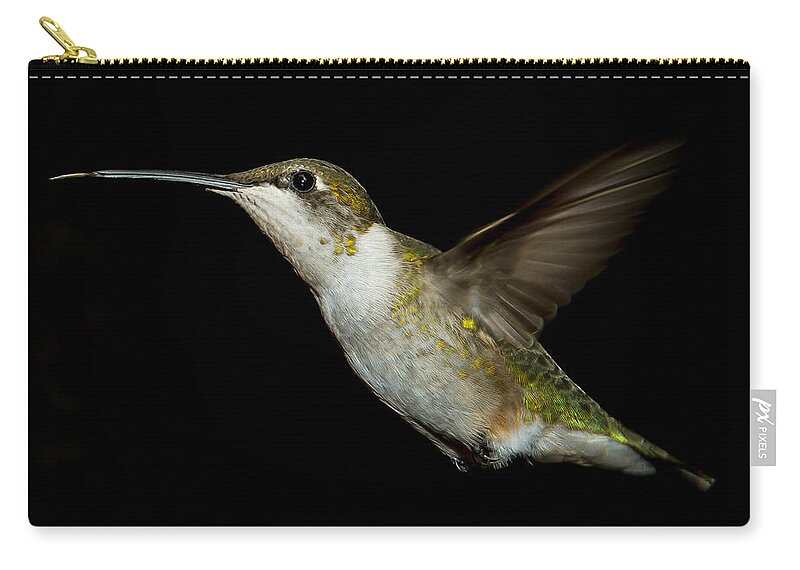 Female Ruby-throated Hummingbird Zip Pouch featuring the photograph Female Ruby-Throated Hummingbird #7 by Robert L Jackson