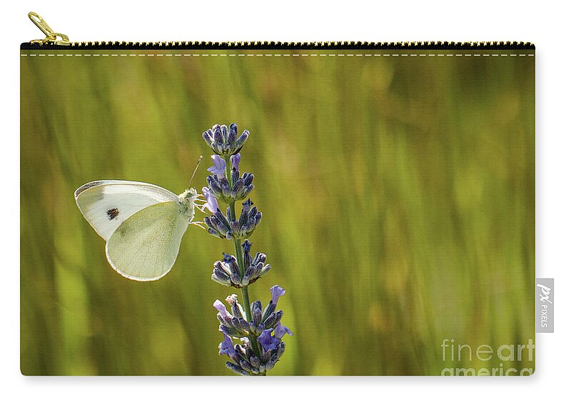 Animal Carry-all Pouch featuring the photograph Pieris brassicae, the large white, also called cabbage butterfly by Amanda Mohler