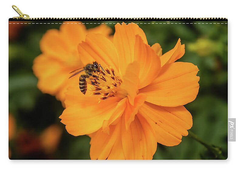 Bee Zip Pouch featuring the photograph Pollination #7 by SAURAVphoto Online Store