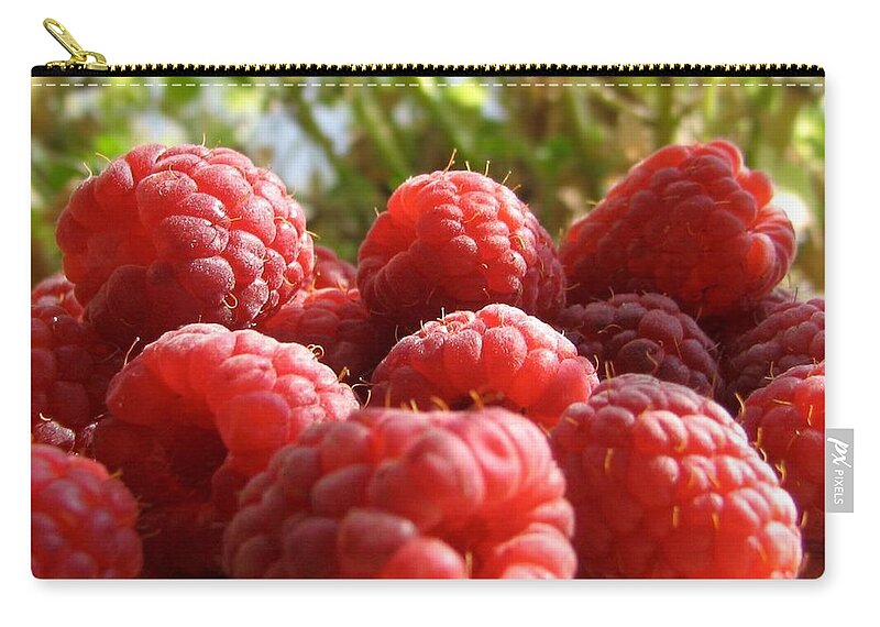 Raspberry Zip Pouch featuring the photograph Raspberry #7 by Mariel Mcmeeking