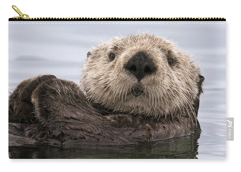 00429873 Zip Pouch featuring the photograph Sea Otter Elkhorn Slough Monterey Bay #7 by Sebastian Kennerknecht