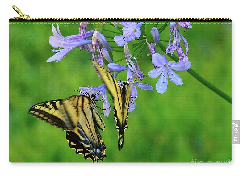 Butterfly Zip Pouch featuring the photograph Butterfly #78 by Marc Bittan