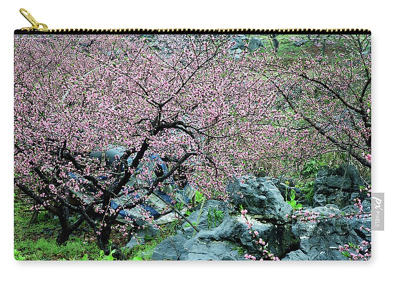 Peach Flowers Zip Pouch featuring the photograph Blossoming peach flowers in spring #8 by Carl Ning