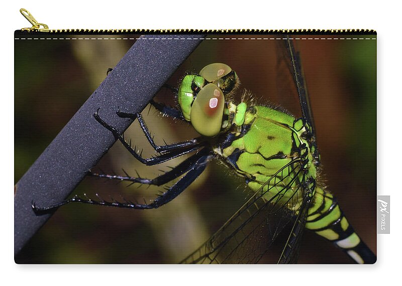 Photograph Zip Pouch featuring the photograph Dragonfly #8 by Larah McElroy