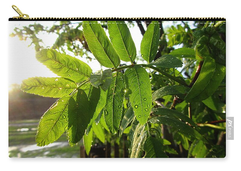 Leaf Zip Pouch featuring the photograph Leaf #8 by Mariel Mcmeeking