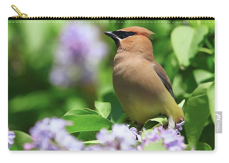 Bird Zip Pouch featuring the photograph Bird #9 by Jackie Russo