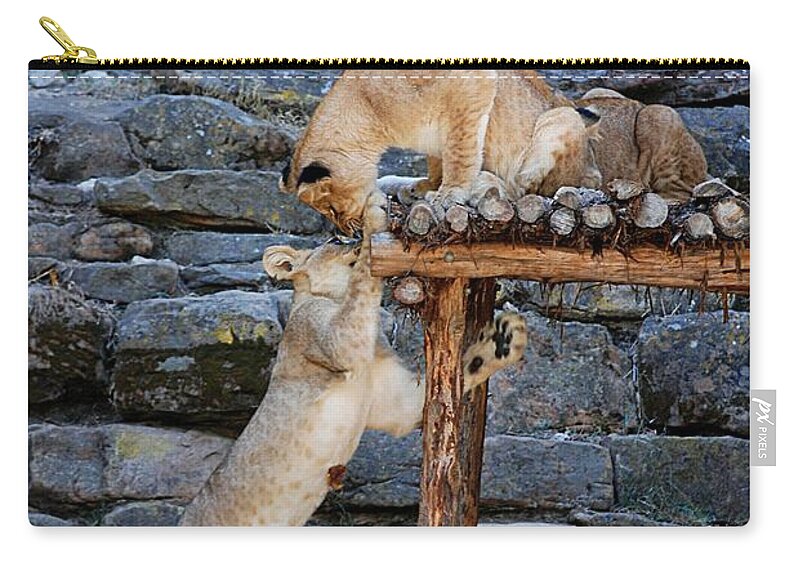 Ft. Worth Zip Pouch featuring the photograph Lioness and Cubs #9 by Kenny Glover