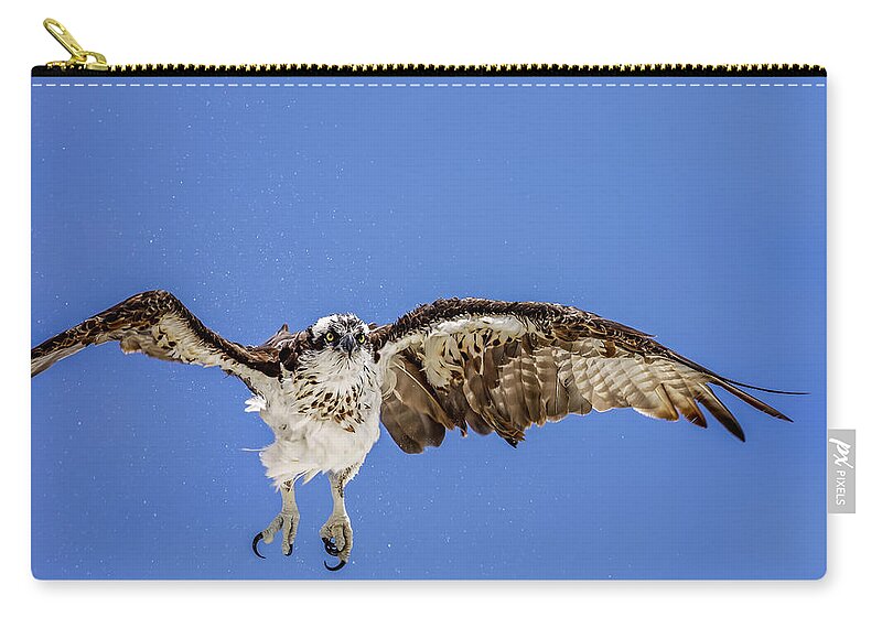 Naples Carry-all Pouch featuring the photograph Osprey by Peter Lakomy