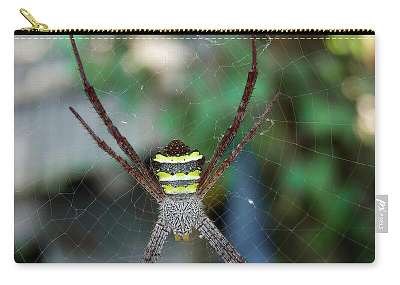 Spider Zip Pouch featuring the photograph Spider #9 by Jackie Russo