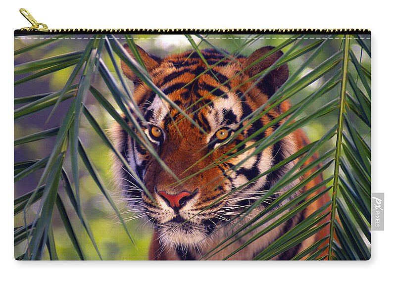 Tiger Zip Pouch featuring the photograph Tiger #9 by Mariel Mcmeeking
