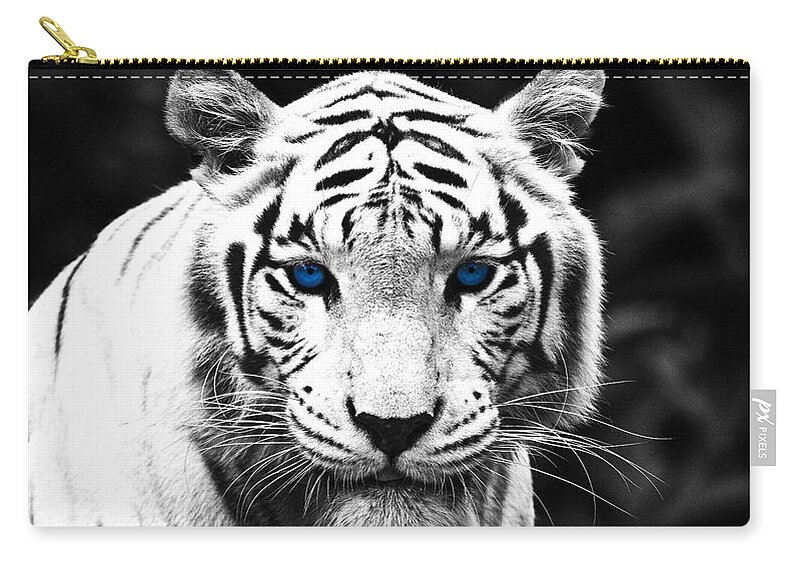 White Tiger Zip Pouch featuring the photograph White Tiger #9 by Jackie Russo