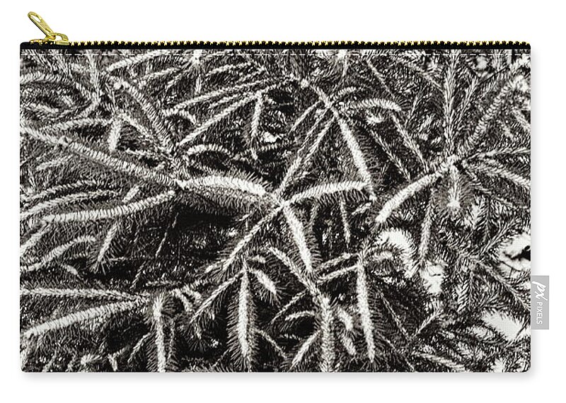  Zip Pouch featuring the photograph 9822pe by Burney Lieberman