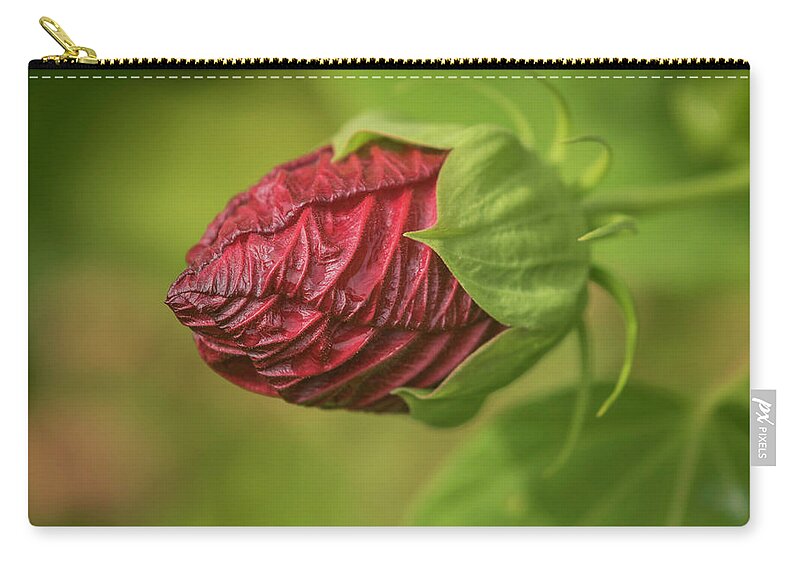 Hibiscus Rosa-sinensis Zip Pouch featuring the photograph A Beautiful Begining by Thomas Young