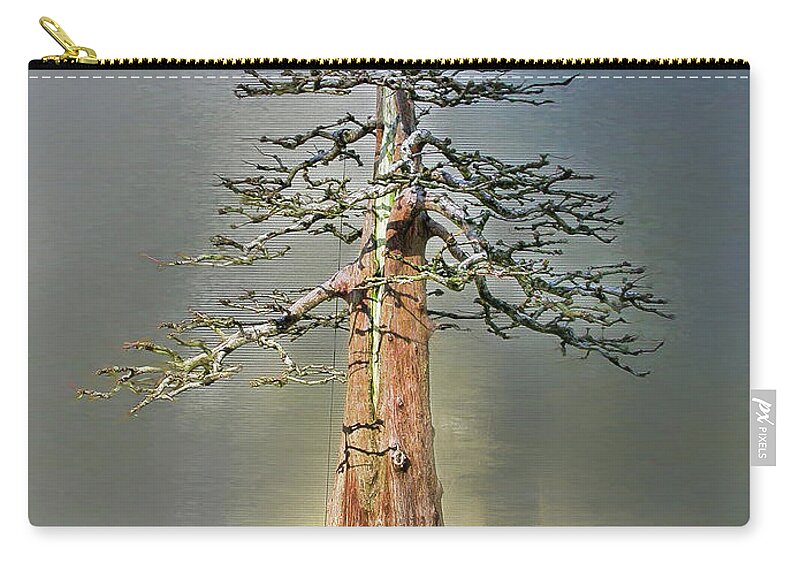 Bonsai Zip Pouch featuring the photograph A Brief History of theMetasequoia, 1941 - by Marilyn Cornwell