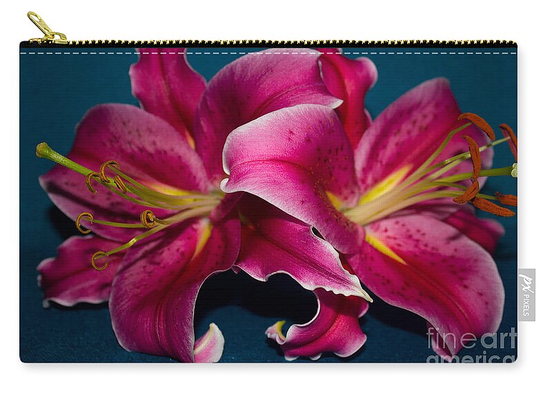 Lily Zip Pouch featuring the photograph A Bunch of Beauty Floral by Roberta Byram