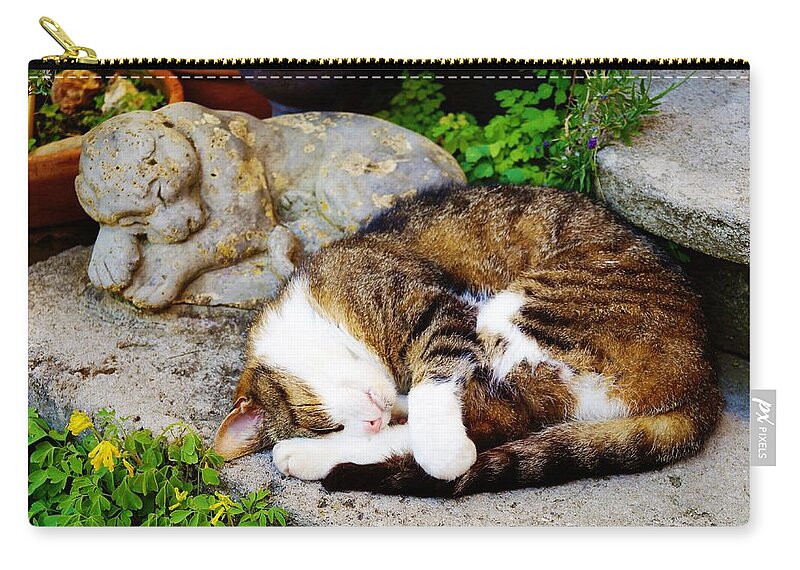 Cat Zip Pouch featuring the photograph A Cat Sleeping Next to... by Daisuke Takano